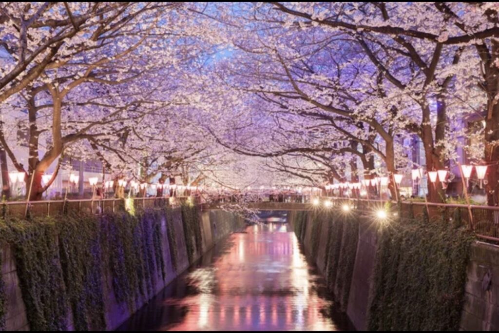 screenshot screenshot